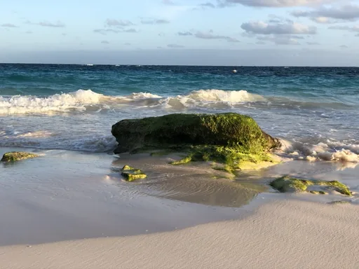 A wave washing around a moss-covered rock on a pink sand beach in Bermuda.