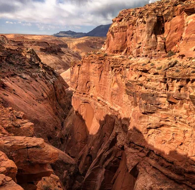 Red sandstone walls dropping into a narrow canyon near Lake Powell.